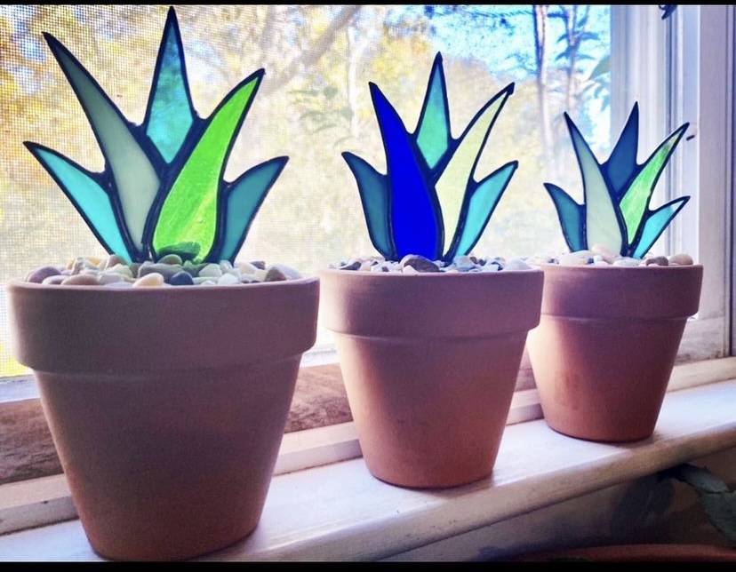stained glass Aloe Vera plants on a window sill